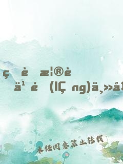 王者榮耀之領(lǐng)主大人